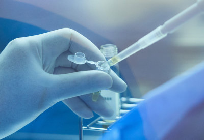 歯髄再生治療のイメージ