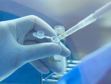 歯髄再生治療のイメージ