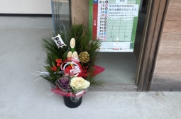 本年度より歯髄再生治療・精密根管治療を開始しました